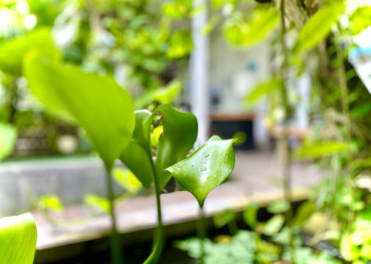The Hide Hostel At Canggu (Adults Only) Exteriér fotografie