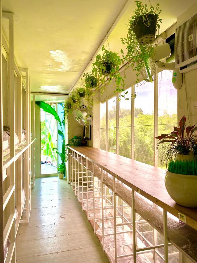 The Hide Hostel At Canggu (Adults Only) Exteriér fotografie
